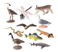 Monetais 10 pièces/Ensemble Figurines d'animaux réalistes lac Nord-américain en Plastique Figurines d'animaux éducatifs pour Enfants garçons Filles Figures