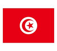 Monetais Drapeau Tunisien décoratif de Jardin, bannières nationales en Polyester pour événements Sportifs, 150x90cm, en Polyester Tunisien