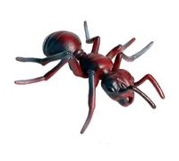 Monetais Figurines en Plastique du Cycle de Croissance des Fourmis, 1 Paquet, pour l'éducation Scientifique