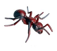 Monetais Fourmis en Plastique, Figurines d'animaux réalistes, Cycle de Croissance des Fourmis, Projet Scientifique, Jouets éducatifs précoces