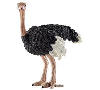 Monetais Jouets Animaux, Figurines d'animaux d'autruche réalistes, Jouets éducatifs détaillés pour garçons et Filles