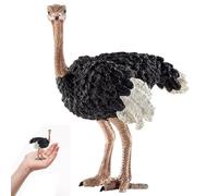 Monetais Jouets Animaux, Figurines d'animaux d'autruche réalistes, Jouets éducatifs détaillés pour garçons et Filles