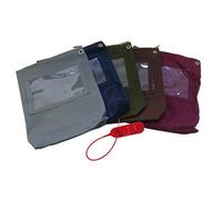 Monetique SACC10+LOCK250R Lot de 10 Sacs de caisse 230 x 280 mm avec Lot 100 scellés de sécurité rouges à serrage progressif