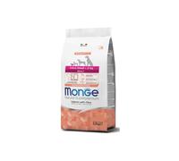 Monge Extra Small Chien Adult Saumon 2,5 kg, Aliment complet pour chiens adultes de taille mini, goût saumon 2,5 kg.