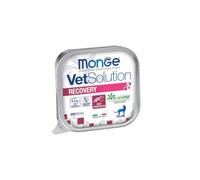 Monge humide chat Recovery, aliment complet pour chats adultes et stérilisés formulé pour favoriser la reprise nutritionnelle pendant la convalescence | 12 boîtes de 100 grammes l'une