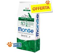 Monge Croquettes pour chien Maxi Adulte – Riche en poulet – 12 kg