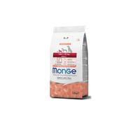 Monge Mini chien adulte saumon 2,5 kg, aliment complet pour chiens adultes de taille mini, goût saumon 2,5 kg.