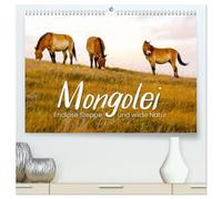 Mongolei - Endlose Steppe und wilde Natur. (hochwertiger Premium Wandkalender 2026 DIN A2 quer), Kunstdruck in Hochglanz: Eine unbeschreibliche Reise durch ein unbekanntes Land.