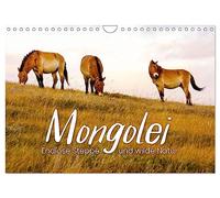 Mongolei - Endlose Steppe und wilde Natur. (Wandkalender 2026 DIN A4 quer), CALVENDO Monatskalender: Eine unbeschreibliche Reise durch ein unbekanntes Land.