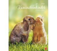 Monika Wegler Calendrier 2025 avec des adorables photos de lapins - Calendrier décoratif pour les amoureux des animaux - Format portrait 34 x 44 cm.