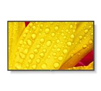 Moniteur NEC 50 pouces 4K Ultra HD