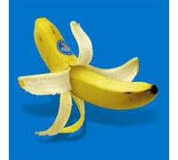 Monkey Majik - Time [Import]