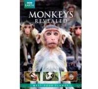 MONKEY S REVEALED-BBC EARTH-VN