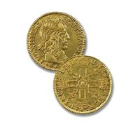 Monnaie Ancienne française, Monnaies napoléon, pièces Anciennes, Monnaies Antiques pour collectionneur, Collection de pièces de Monnaie en Argent, Coin France (Louis XIII Louis d'or 1640)