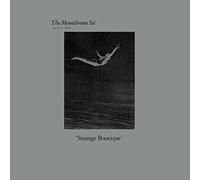 Monochrome Set the - Strange Boutique