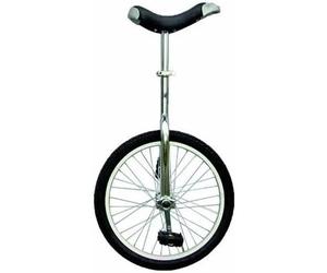 Monocycle - 659323 - 50,8 Cm - 20 Pouces - Argent - Enfant - Mixte Multicolore