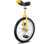 Monocycle pour adultes, siège réglable, vélo d'appartement, capacité de 150 kg, trottinette de remise en forme pour la performance du cirque et le plaisir