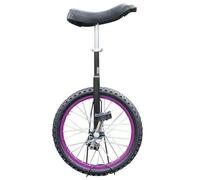 Monocycle pour fitness en plein air, hauteur réglable, capacité de charge de 75 kg, idéal pour les employés de bureau et les amateurs de cyclisme