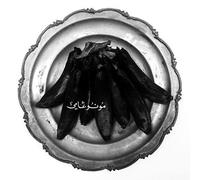 Land of Kush – Monogamy – Vinyle 12" Album