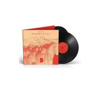 Monolink - The Beauty Of It All - 2 Vinyl