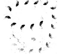 Monolithe Noir - Moira