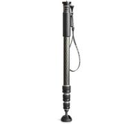 'Gitzo gm2542 1/4, 3/8 Carbone Noir Monopode pour Appareil Photo