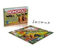 Monopoly Chevaux et Poneys - Jeu de plateau Multicolore G