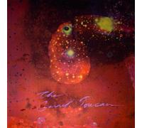 Monopoly Child Star Searchers - The Garnet Toucan [VINYL]