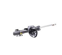 MONROE 2x Amortisseur Jambe de suspension Pression de gaz Essieu avant Compatible avec VW Polo V 3/5 portes 6R1, 6C1 742044SP