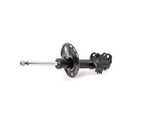 MONROE G8119 Amortisseur AVD - 1 pièce