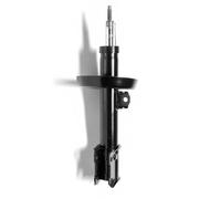 Monroe Amortisseur G16791 – Jambe de suspension pression de gaz Avant gauche Compatible OPEL Zafira A