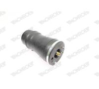 MONROE ASP012 Ressort pneumatique, châssis pour BMW