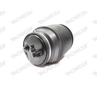 MONROE ASP020 Ressort pneumatique, châssis pour LEXUS,TOYOTA