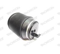 MONROE ASP023 Ressort pneumatique, châssis pour LEXUS,TOYOTA