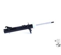 Monroe Amortisseur G16385 – goujon en haut – pour Ford, Mazda