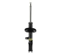 Monroe G16652 Amortisseur Arriere Original Suspension, Amortisseurs pour Auto