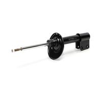 MONROE Jambe de suspension Amortisseur pour CITROËN C4 II 5 portes (B7, NC) Gaz