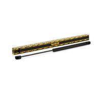 Vérin à gaz de coffre ML6560 MONROE pour RENAULT