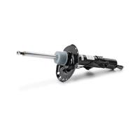 Monroe Amortisseur C2506R