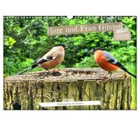 Monsieur et Madame Bouvreuil - des habitués du jardin, Version française (Calendrier mural 2026 DIN A3 portrait), Calendrier CALVENDO mensuel