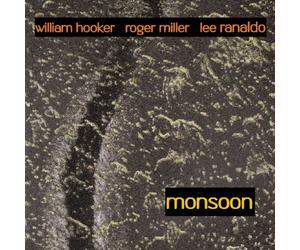 Monsoon Lee Ranaldo