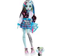 Monster High Frankie Stein Doll With Pet And Accessories