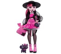 Monster High Poupée Articulée Draculaura avec Animal Chat-Chauve-Souris, Count Fabulous, Accessoires Effrayants Inclus, À Collectionner, Jouet Enfant, A Partir De 4 Ans, HRP64