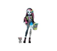 Monster High-Poupée Frankie Stein-Poupée avec animal et accessoires HXH73