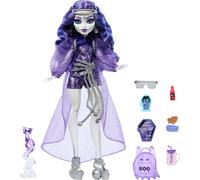 Monster High Spectra Vondergeist Doll with Pet Ferret Rhuen and Accessories Like