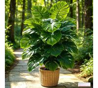Monstera artificiel d'extérieur - Grande verdure artificielle d'extérieur, large et feuillue, sans entretien, arbre décoratif, convient pour la décoration intérieure/l'aménagement extérieur, la cour, 