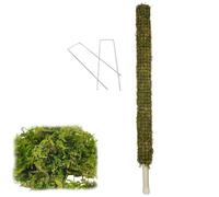 Monstera Bâton de mousse auto-arrosage fait à la main | Support de treillis pour grimpantes, piquets de en pot, poteau de sphaigne, aide à la croissance des d'intérieur