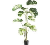 Monstera deliciosa Variegata Plante artificielle 160 cm en pot plastique - vert et blanc décoratif
