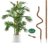 Monstera Lot de 2 tiges de mousse pour plantes - 120 cm - Bâtons de mousse de coco flexibles - Avec accessoires pour plantes d'intérieur