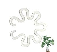 Monstera Support flexible et robuste transparent pour de jardin Clips Monstera | pour orchidée pothos hortensia maison bureau extérieur jardin balcon pelouse